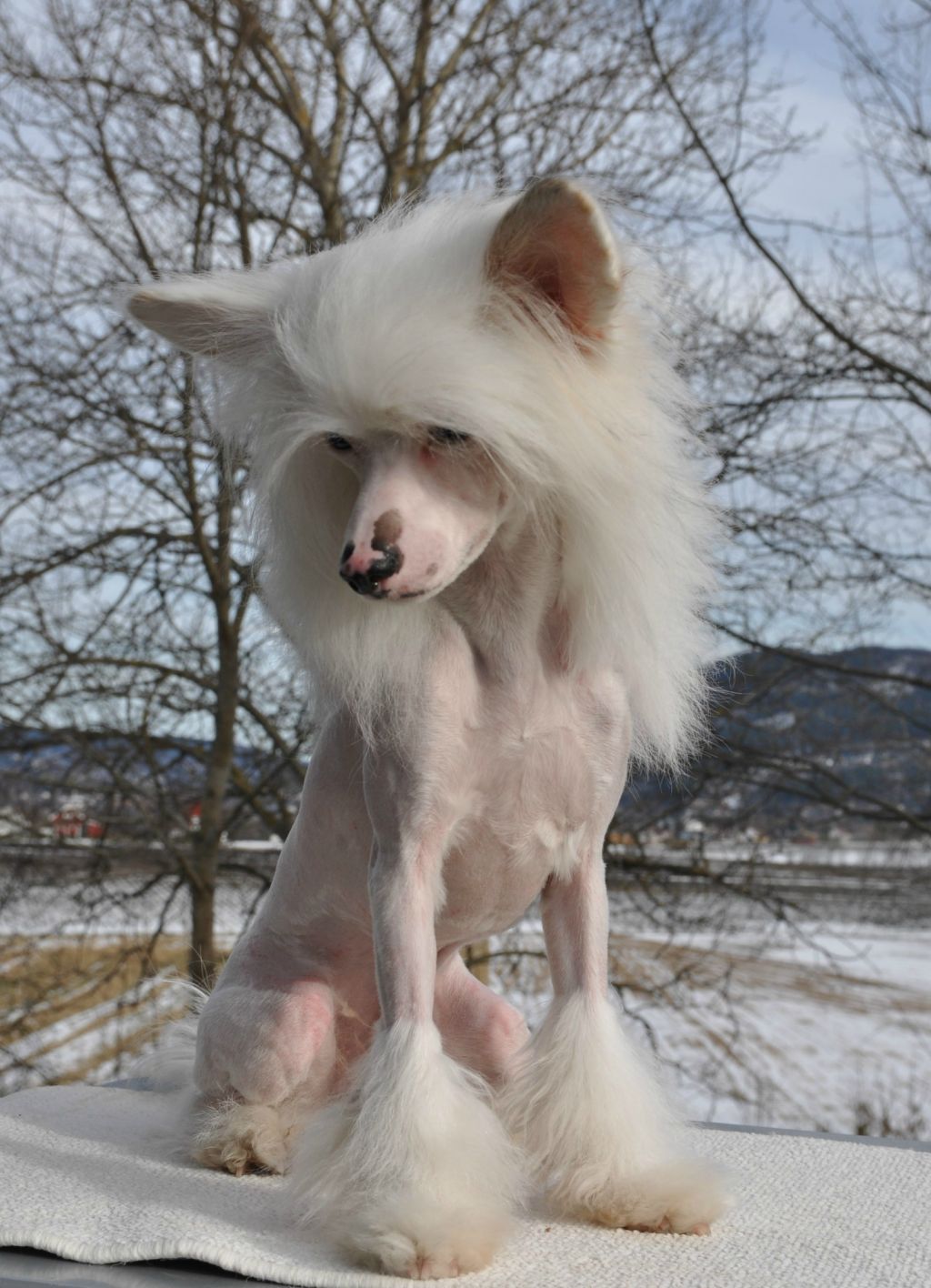 Blendverk's After The Sunset