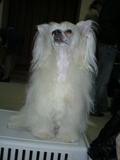 Picture
