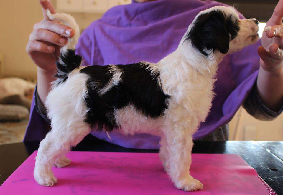 Love Bites For Evigt