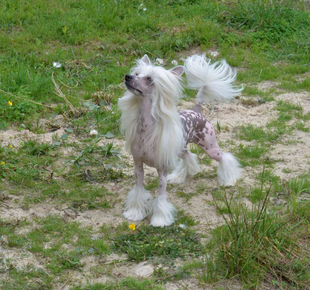 Game With Glam von Shinbashi