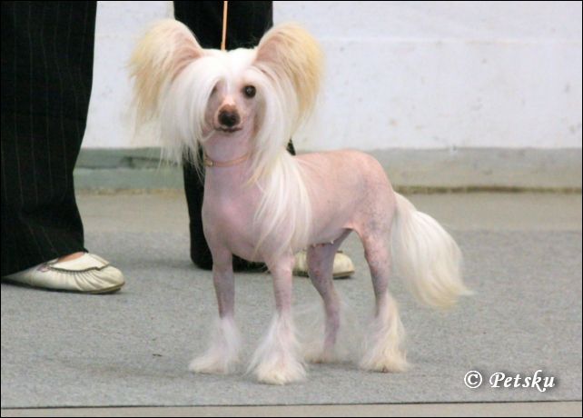 Candy Queen's Perfect Picture