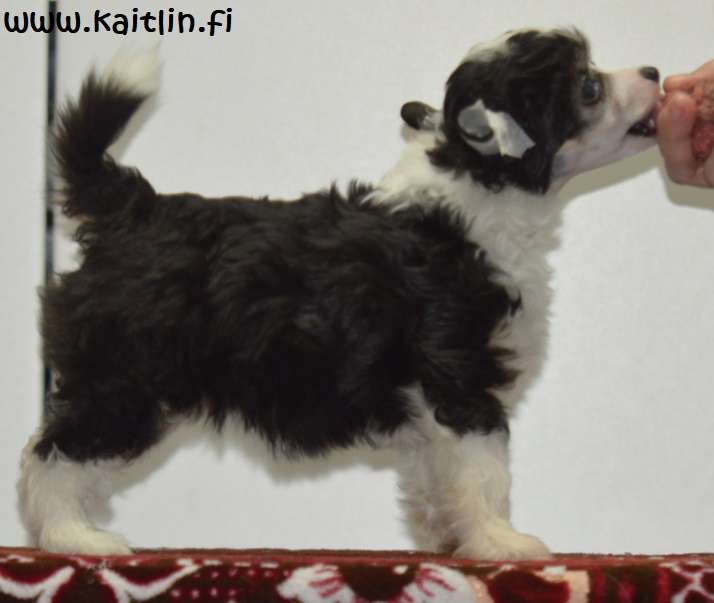 Kaitlin Unicorn Twinkle Eyes