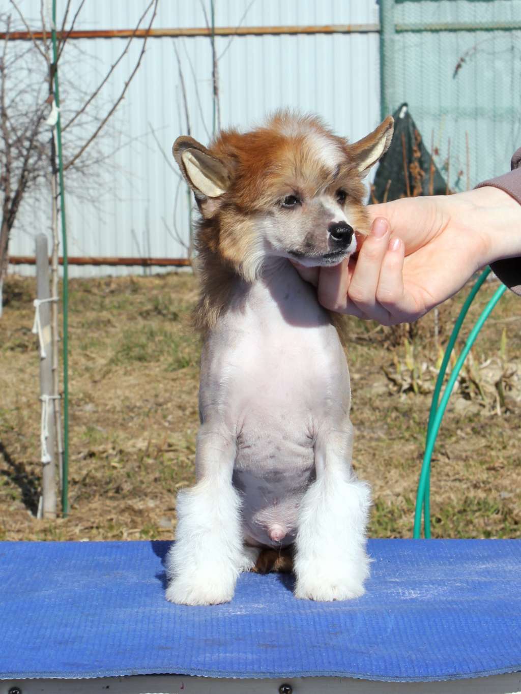 Via Della Seta Nuclear Energy