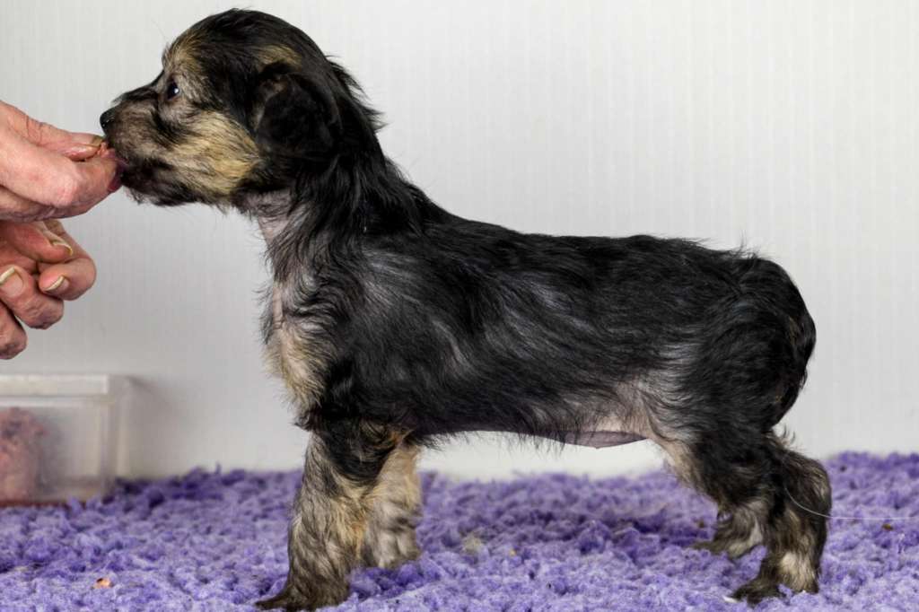 Black-Diva's Omg She's Got The Look