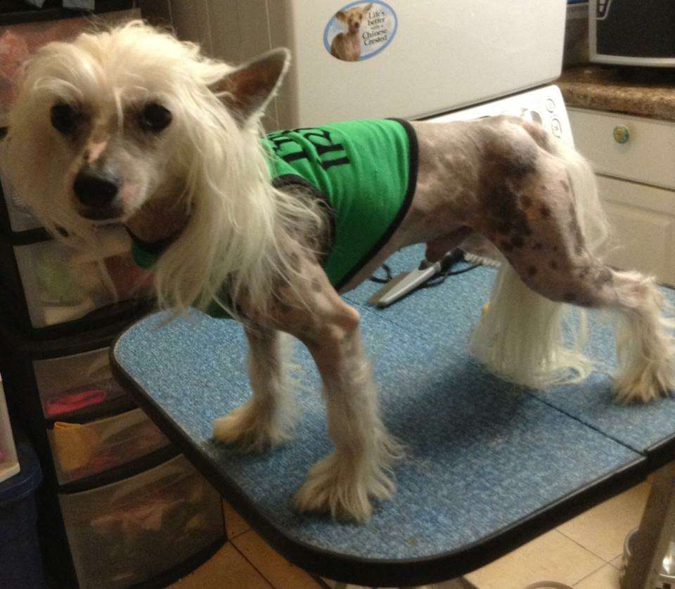 WD Michell's Duke Streckenrider