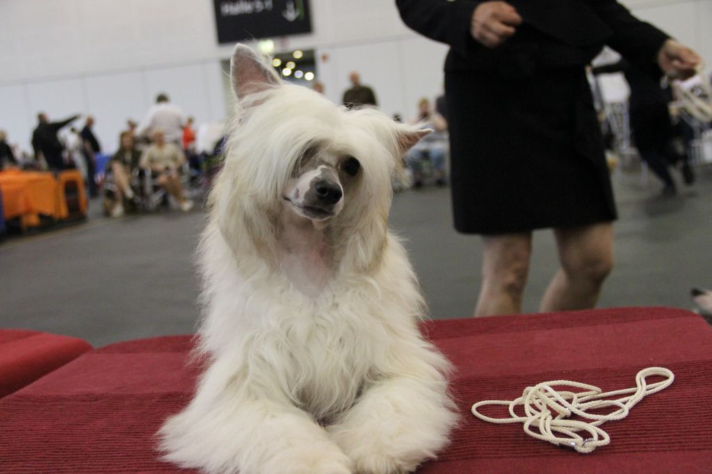 Letti von den Windpferden