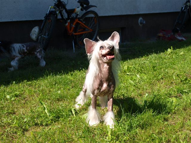 Thunder and Lightnings Gene Hackman