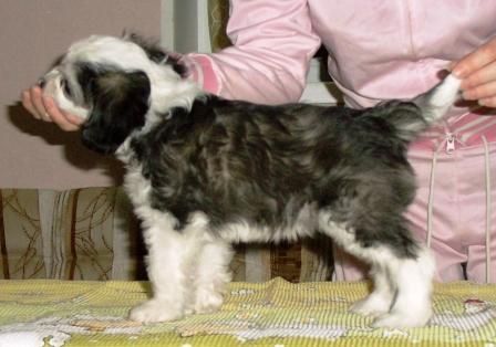 My Lucky Love Ariadna Daughter of Sun