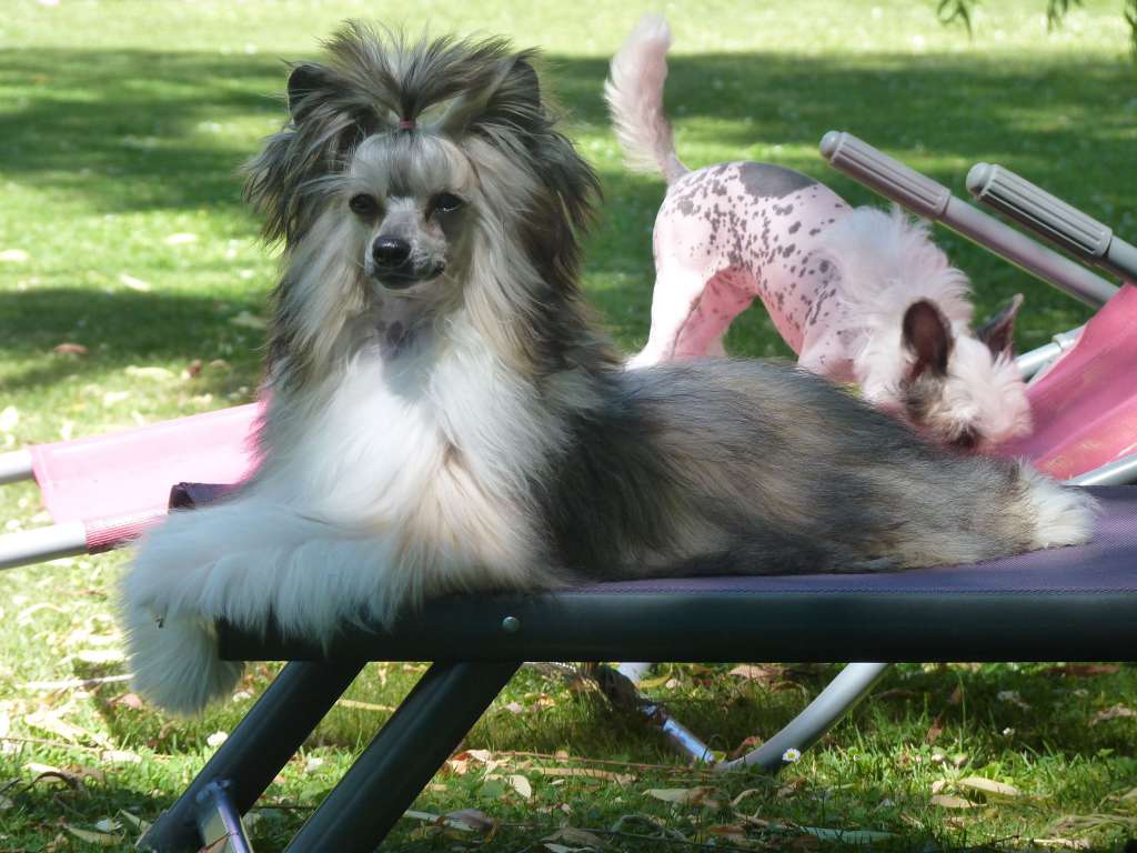 Narla Top Model de Rama