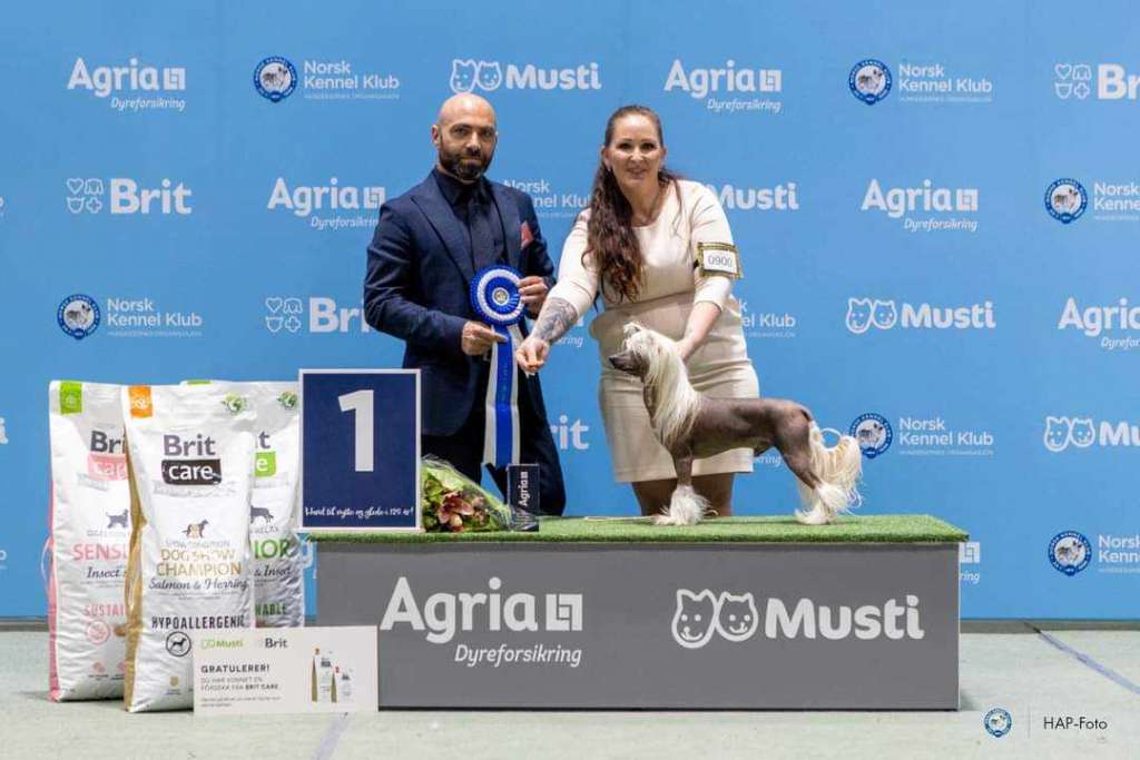 Jean Dark Zillionare