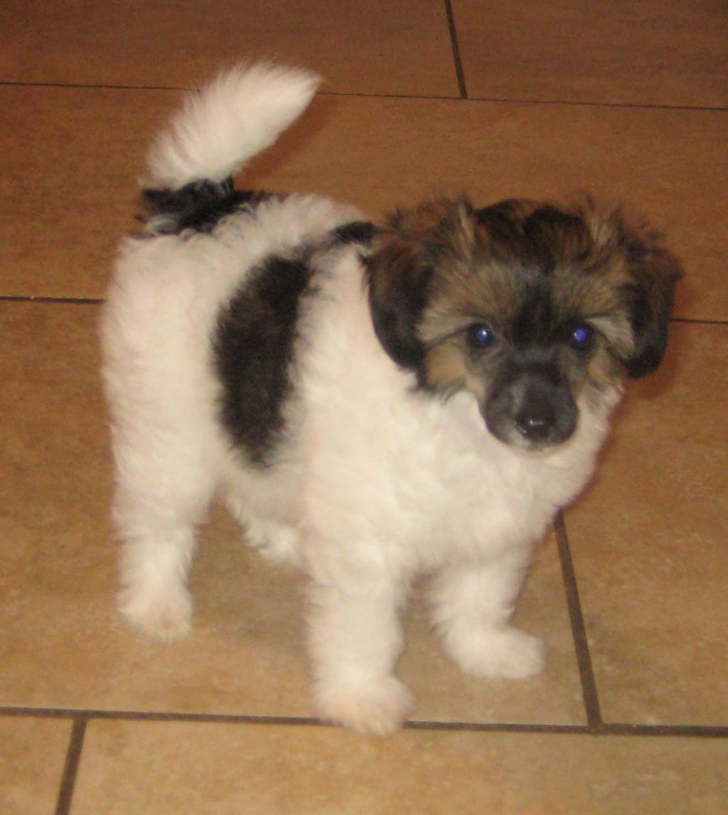 Jewels Gone with the Wind