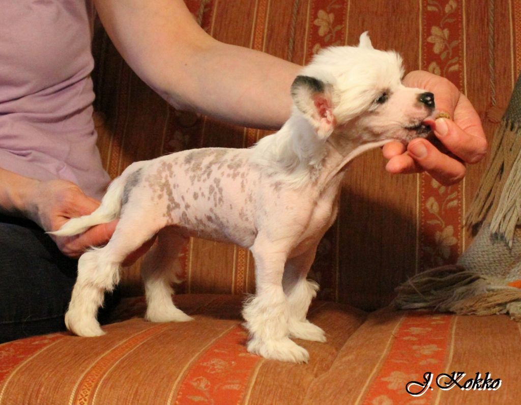 Passer-By Keep Going