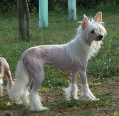 Crest-Vue's Civil Matters