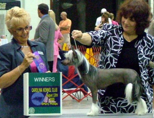 Gemstone's Wudnshu In Your Dreams