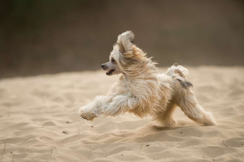 Blackberry sweet Il senso della mia vita