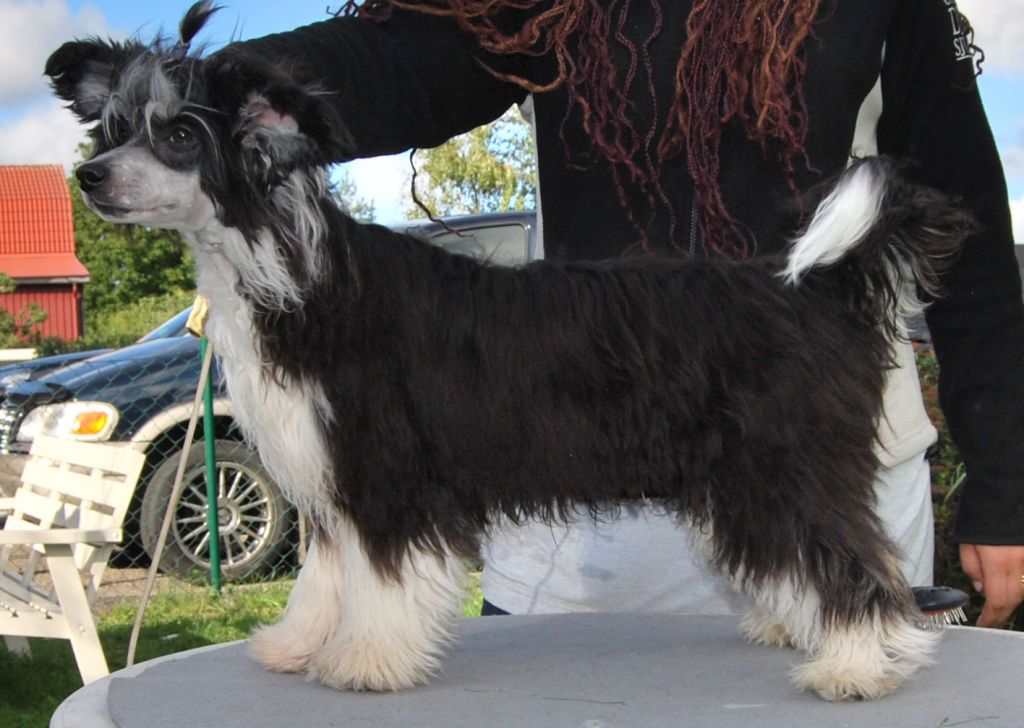 Beauty Of Xlnz Two To Tango