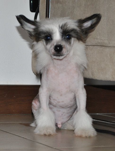 Stars at Sea Prometheus