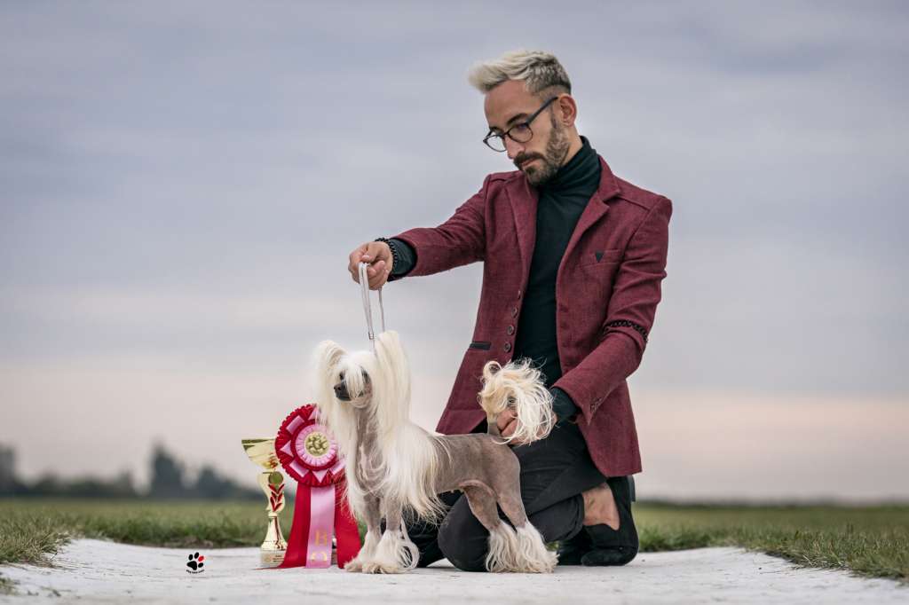 Licky Lips Golden Globe