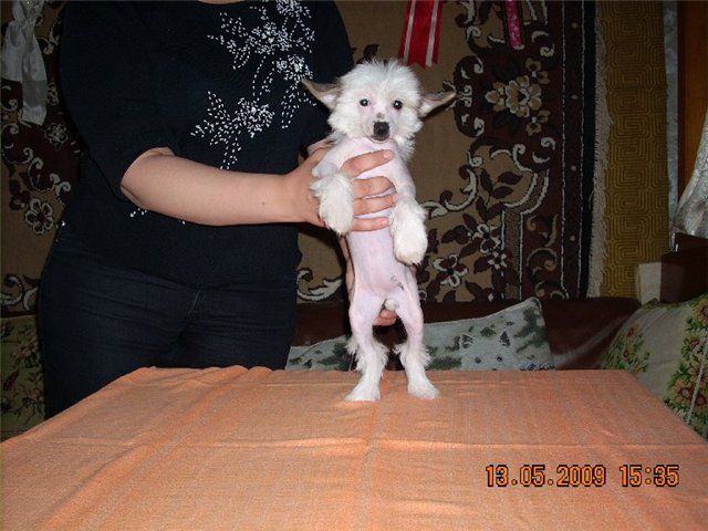 Picture