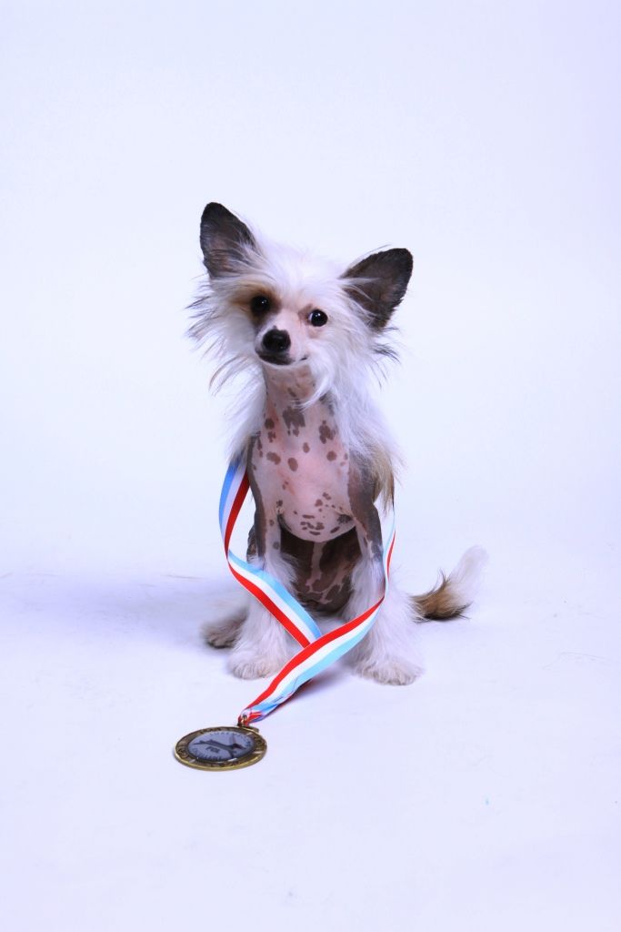 Xperia  von Shinbashi