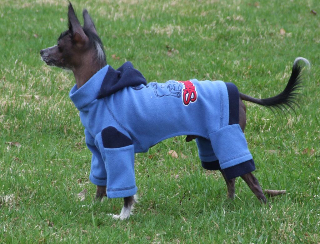 Zalex Always Little Black And White