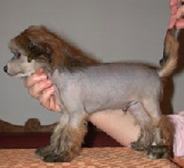 Henry Fonda de GabriTho