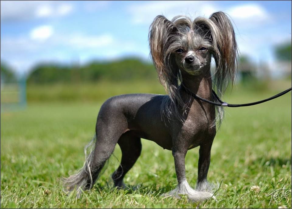 Kalimera's Lucy in the Sky