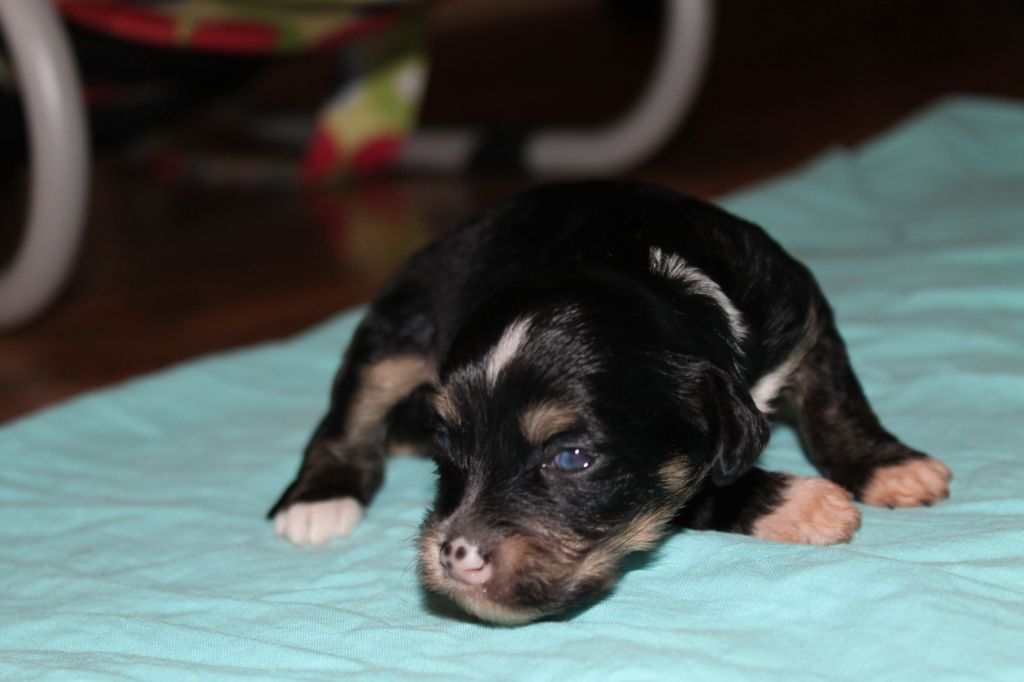 Ixtri's You ain't seen nothing yet