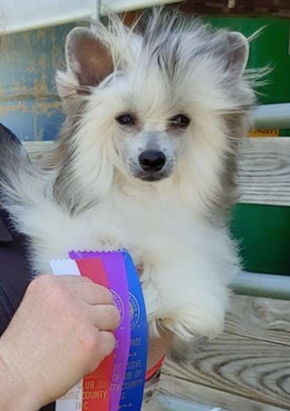 Winwood's Best Kept Secret @ BRK