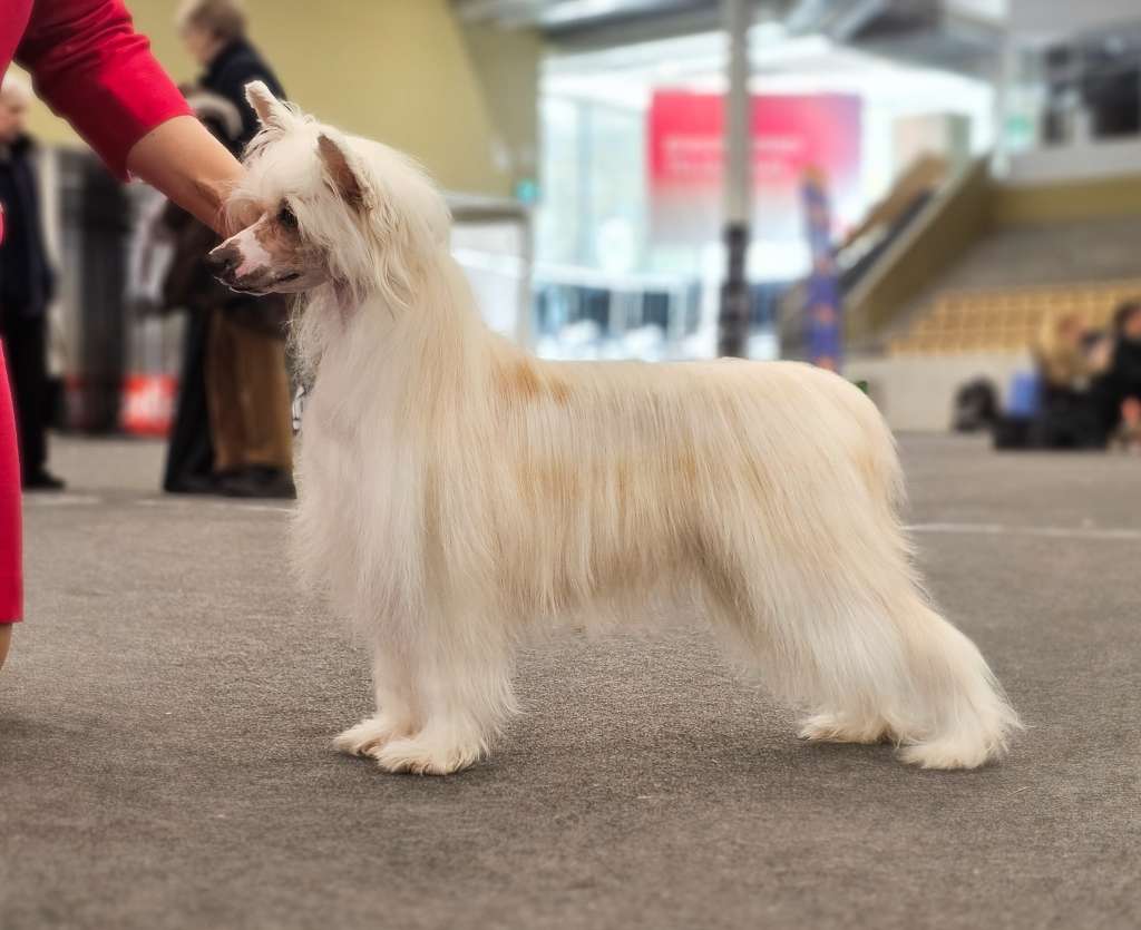 Jean Dark Ups A Daisy
