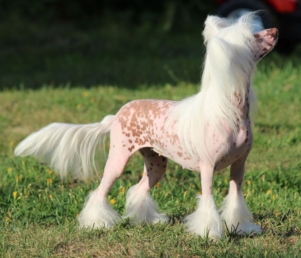 Arte Figure Kiss My Louboutins