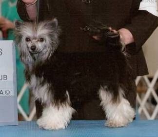 Roc N Win Boogie In His Pj's
