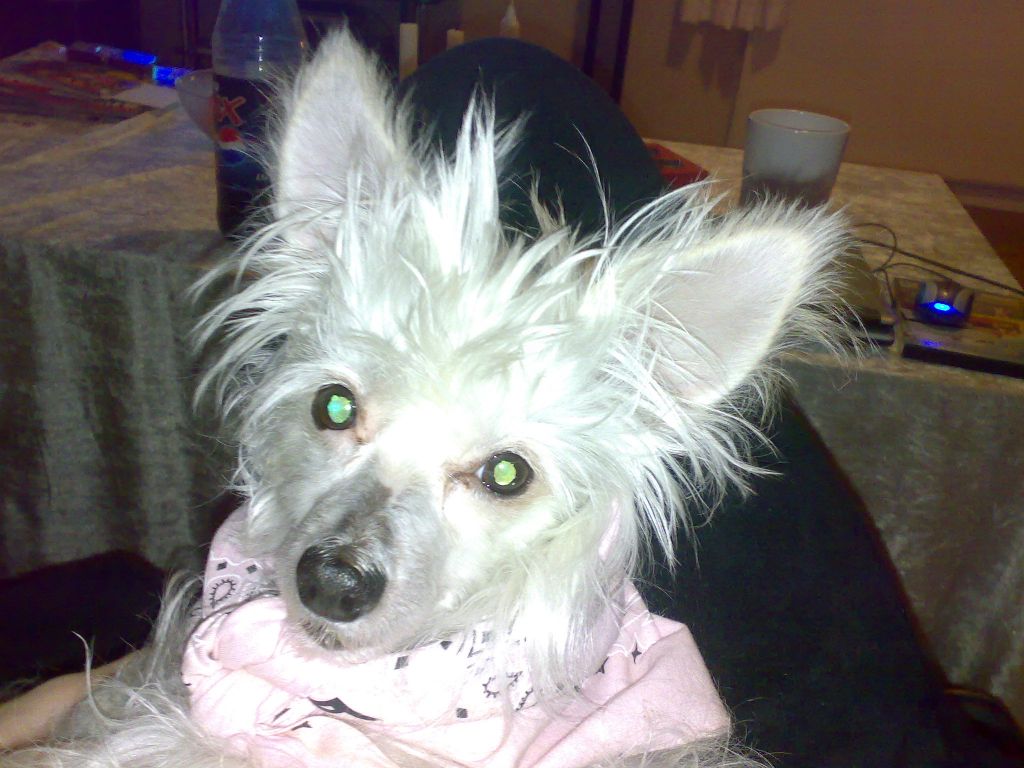 Eugenios Amazing Grace