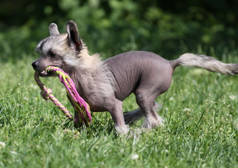 Billie Jean Quickly In Love