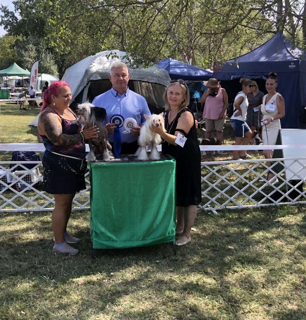 Chicavallo Gentry a Sarkanyveru