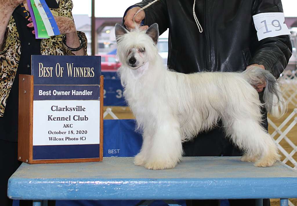 First Responder By Jove