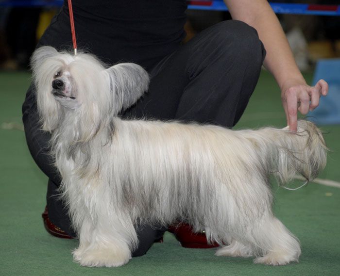 Angel Look Give Me A Kiss 