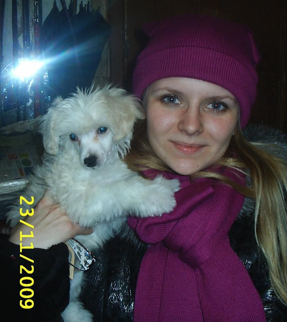Picture