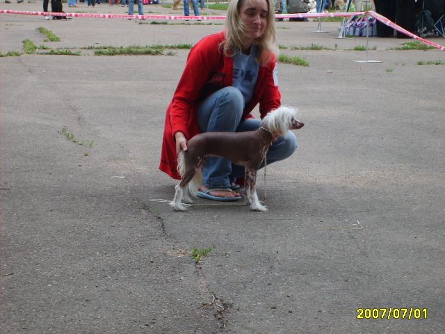 Picture