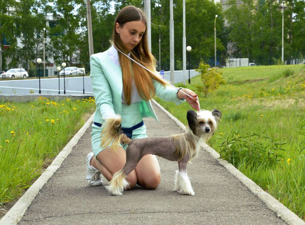 Baikal Dream Jakarta Bright star