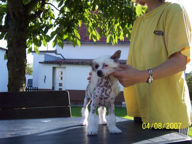 Picture