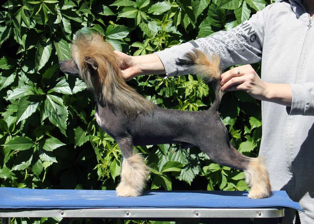 Via Della Seta Mandarin Flavour