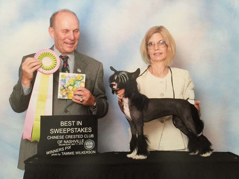 Skyfall N Zhen City Lights