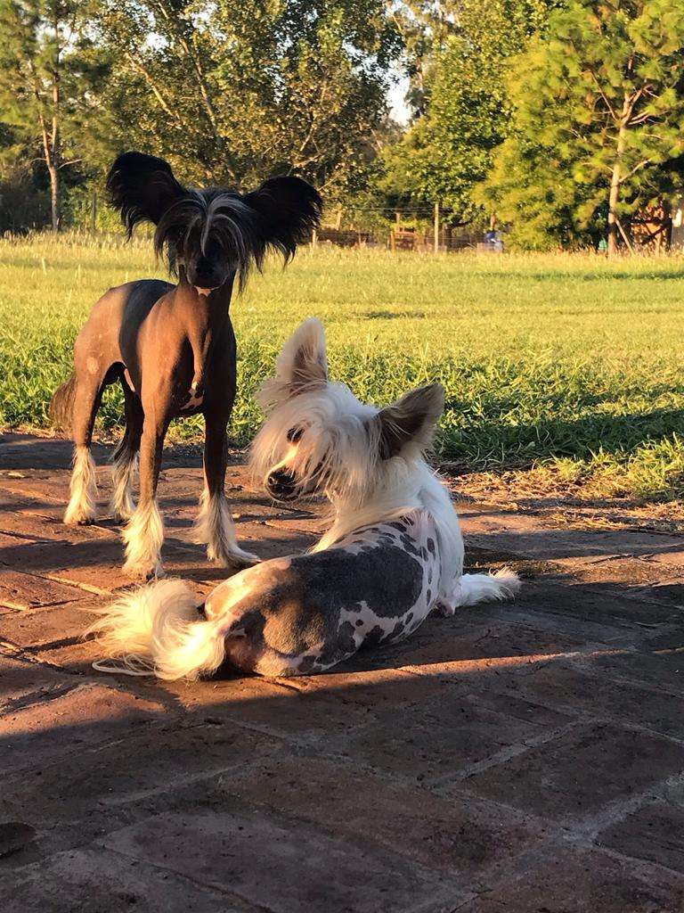 Patagonia Ranch Moroco