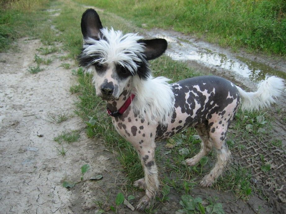 Just in Time Fantasy Island