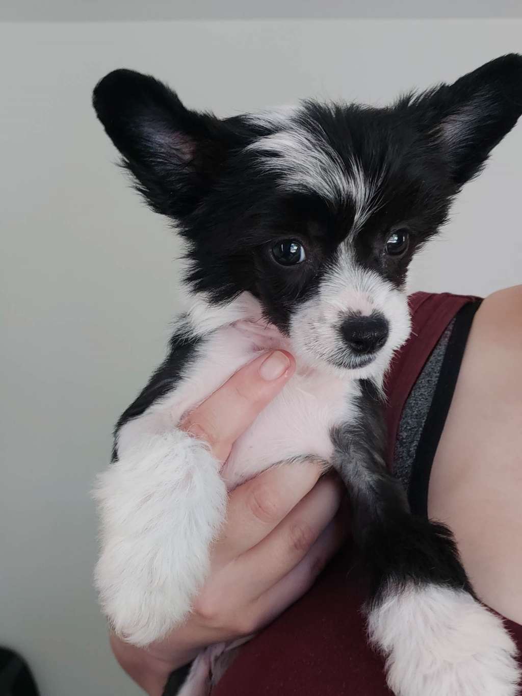 Ain't No Angel At Highsted