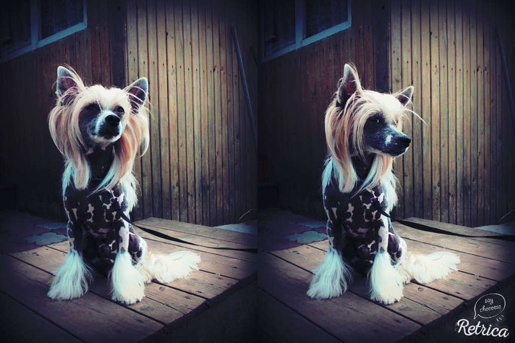 Rus Lorens Sem Devil May Care