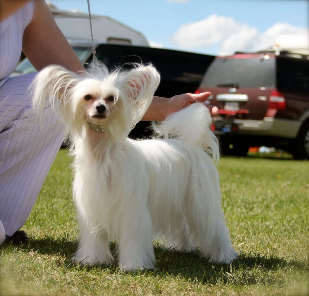 Casmai Debut At Yorkhouse