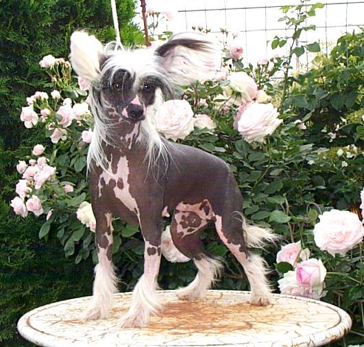 Smoke And Mirrors At N'co