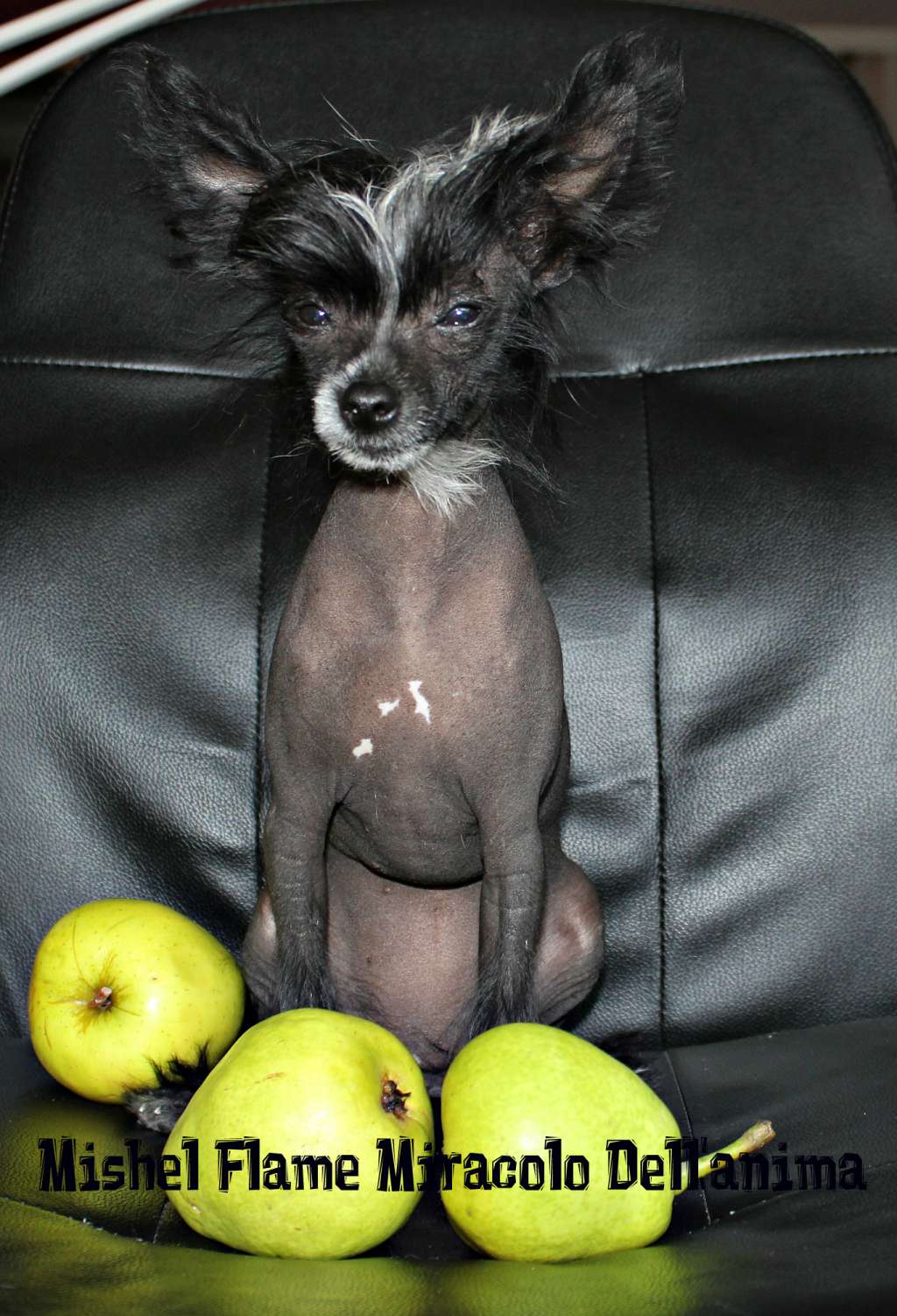 Mishel Flame Miracolo Dell'anima